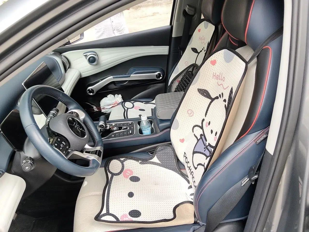 BYD Yuan PLUS 2022 510 km Flagship Version — миниатюра 15