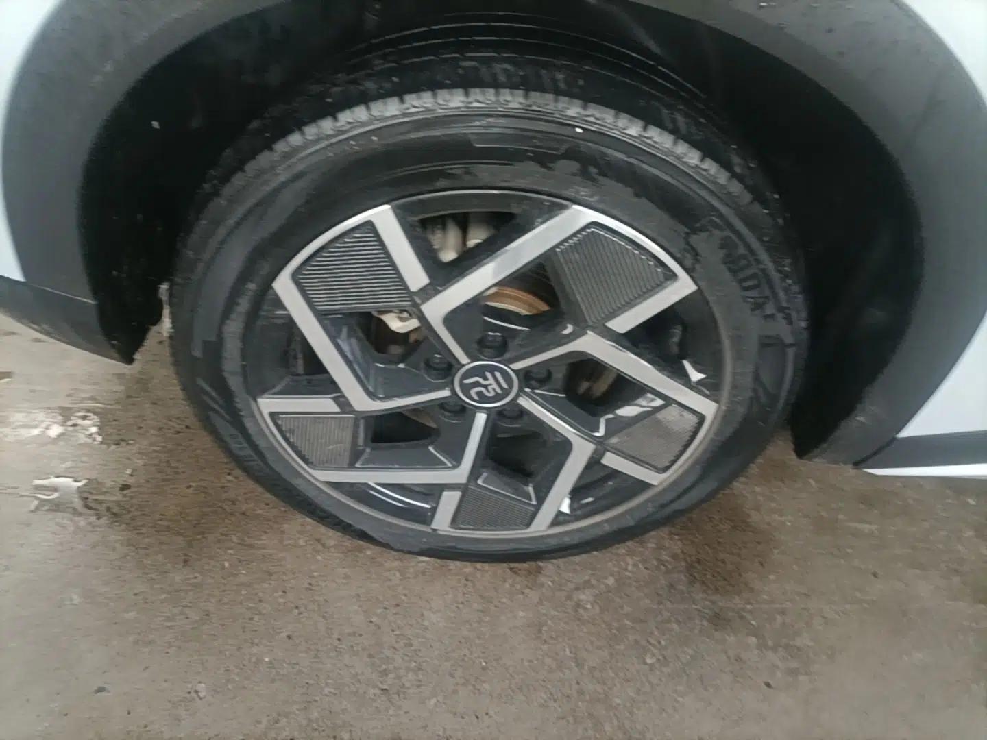 BYD Yuan PLUS 2023 Champion Edition 510KM Superior Model — миниатюра 11