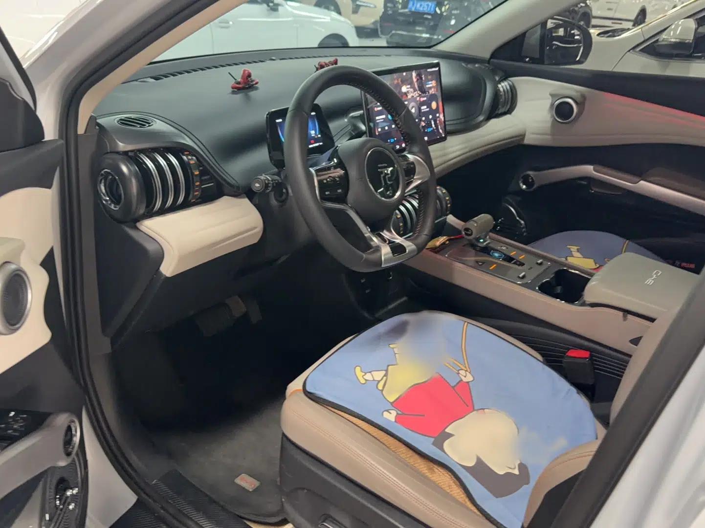 BYD Yuan PLUS 2024 Honor Edition 430KM Leading Model — миниатюра 14