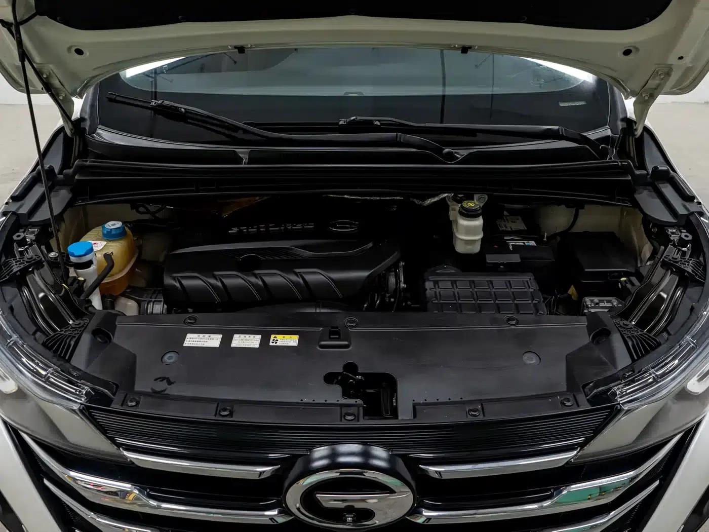Trumpchi M6 2019 270T DCT Premium Edition (7-seater) National VI Emission Standard — миниатюра 26