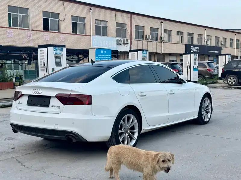 Audi A5 2012 2.0TFSI Sportback quattro — миниатюра 6