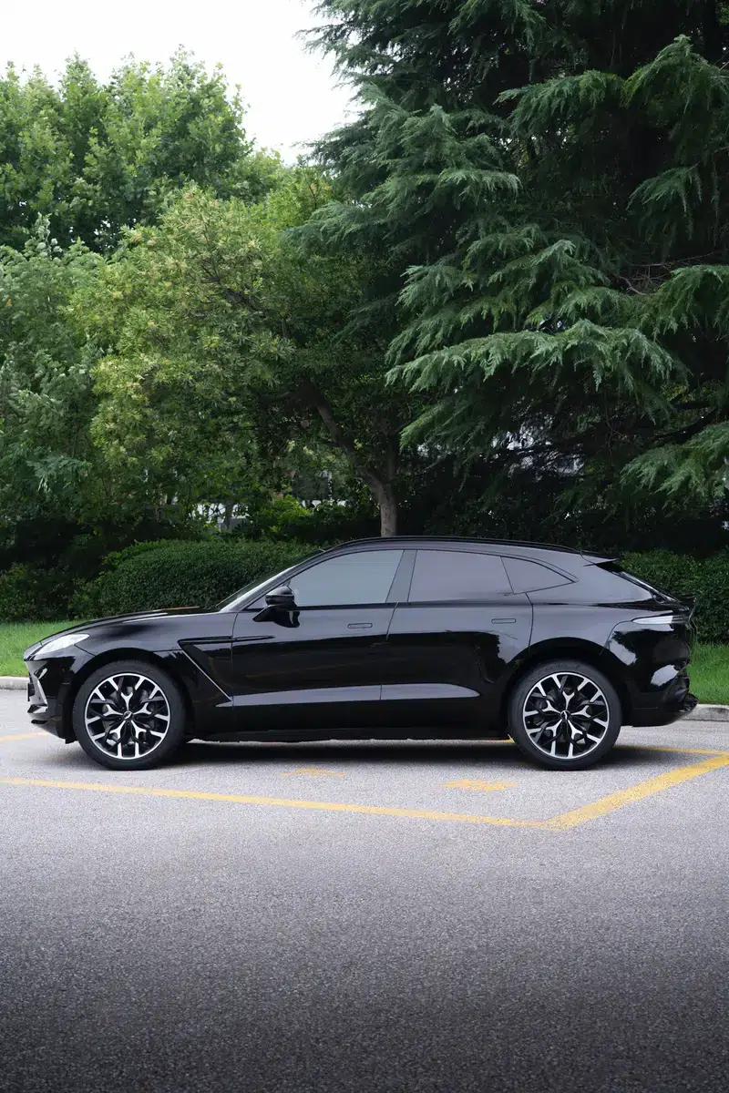 2022 Aston Martin DBX 4.0T V8 — миниатюра 7