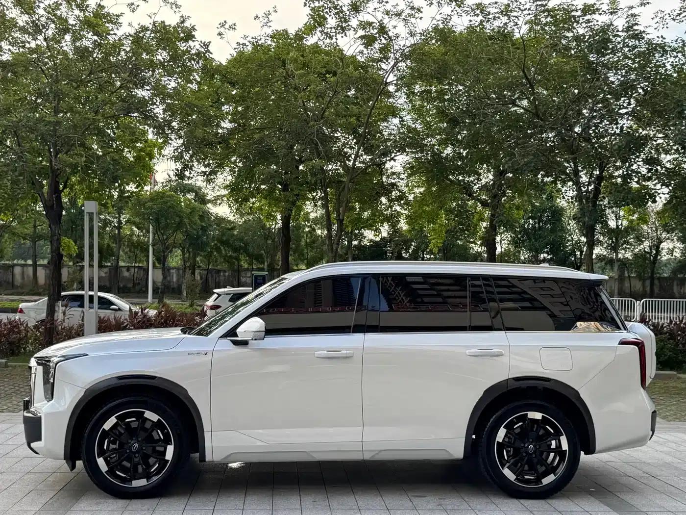 Trumpchi ES9 2024 PHEV 143km Traveler Max — миниатюра 15