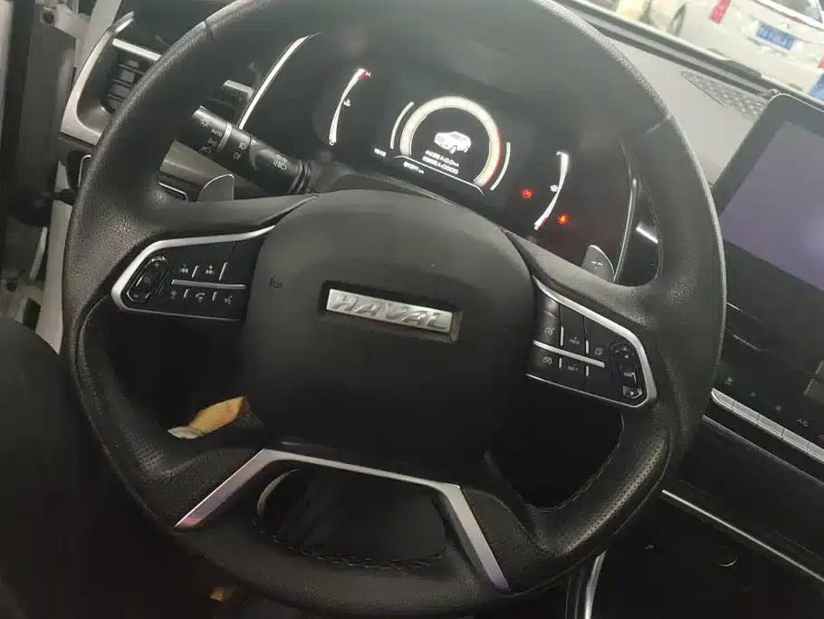 Haval H6 2021 2.0GDIT Automatic Champion Edition — миниатюра 15