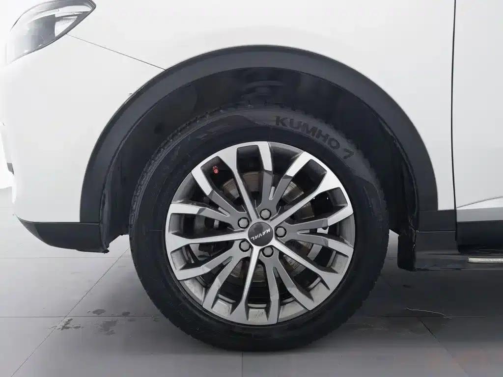Haval H6 2020 1.5GDIT Automatic Platinum Champion Edition — миниатюра 17