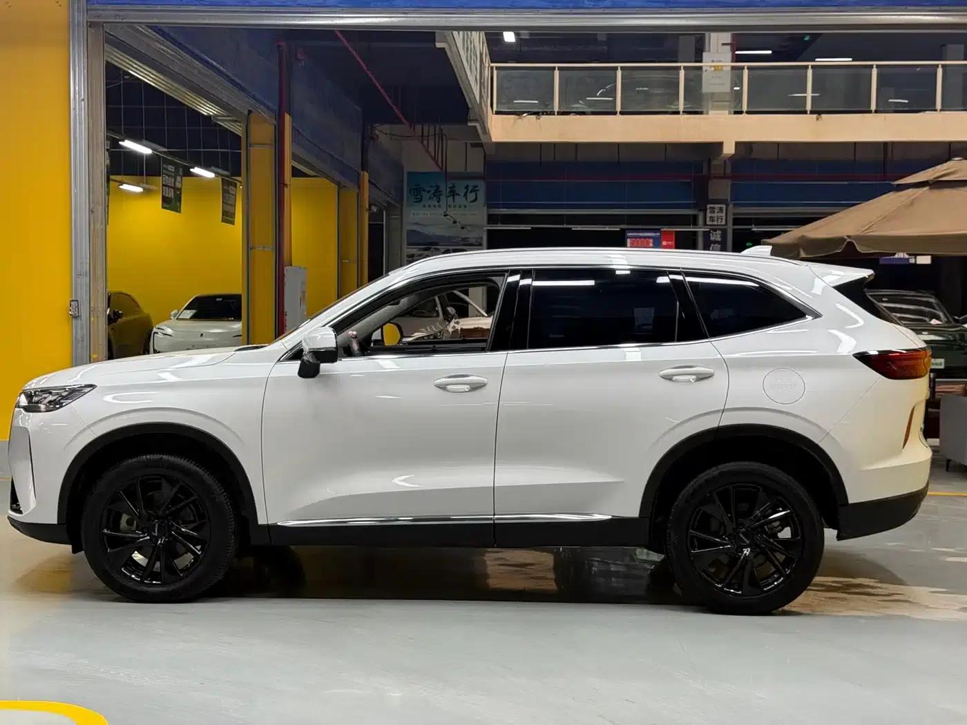 Haval H6 2021 Model, Third Generation, 2.0T Automatic Four-Wheel Drive Max — миниатюра 4