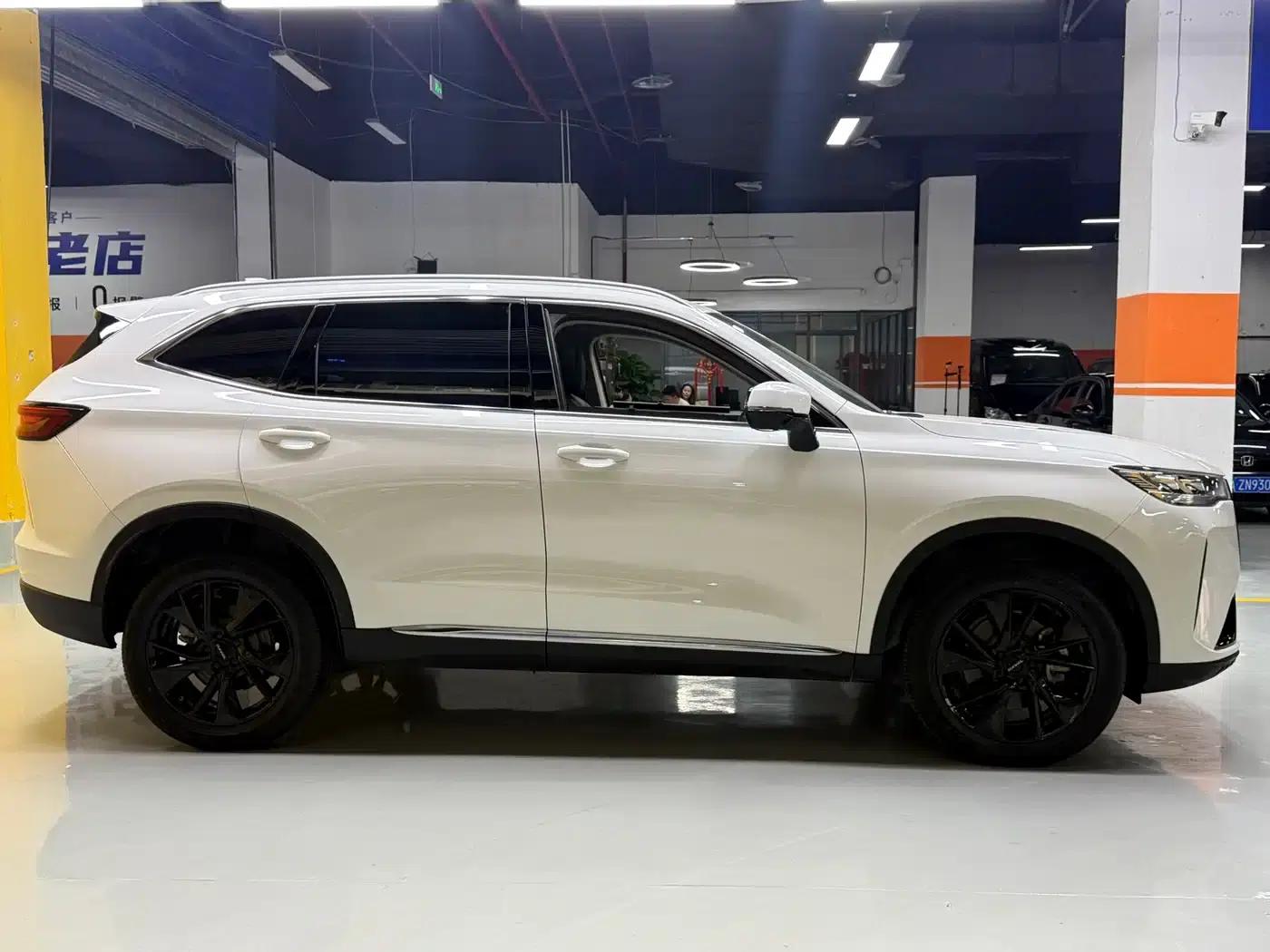 Haval H6 2021 Model, Third Generation, 2.0T Automatic Four-Wheel Drive Max — миниатюра 8