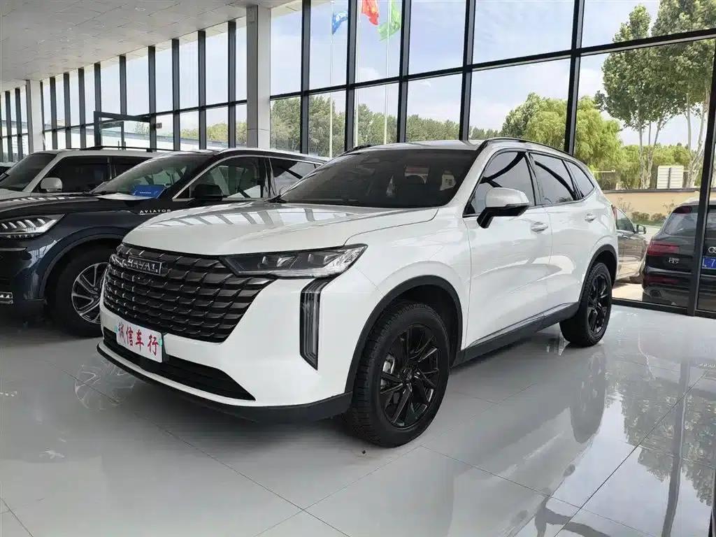 Haval H6 2024 2.0T AWD Max — миниатюра 1
