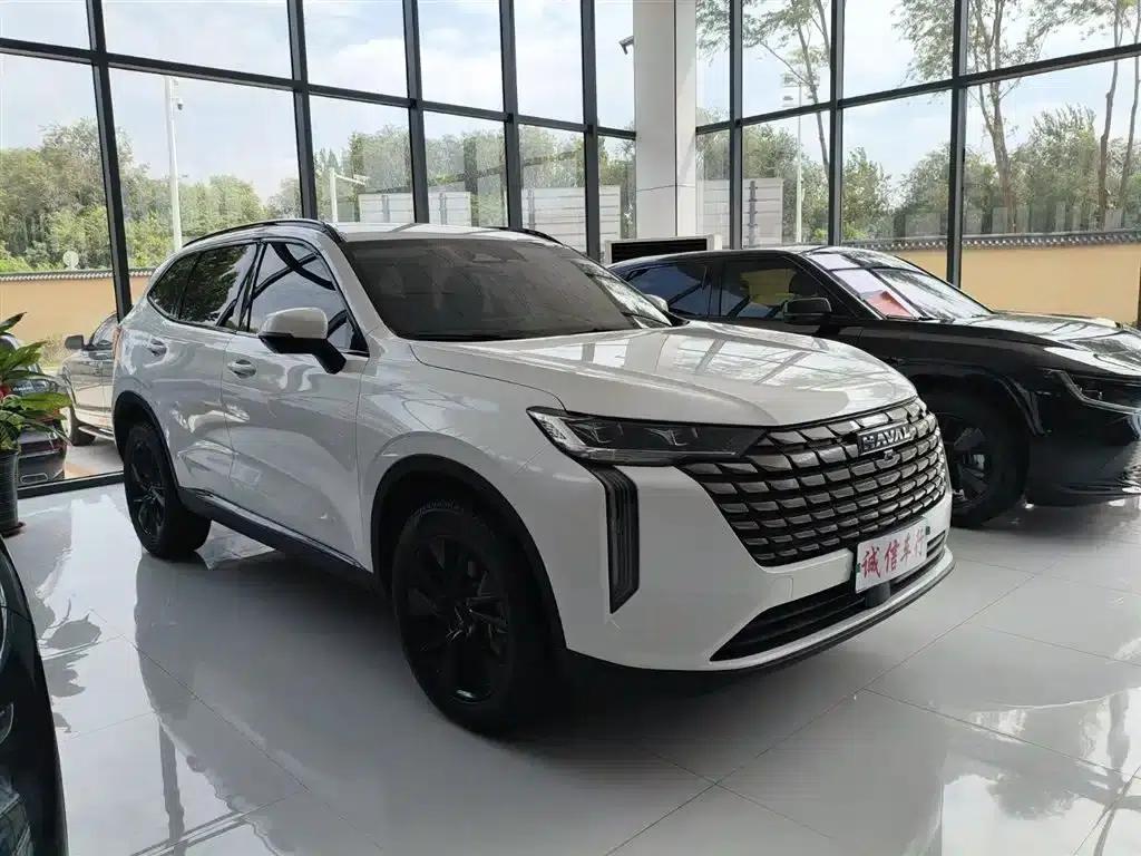 Haval H6 2024 2.0T AWD Max — миниатюра 3