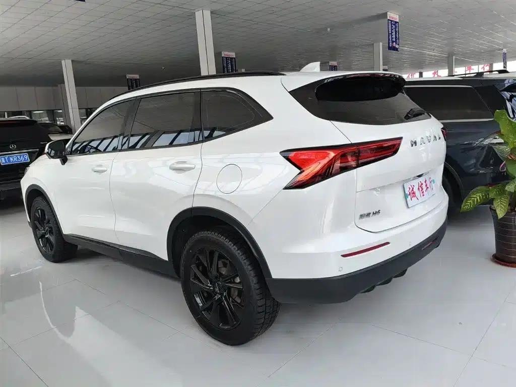 Haval H6 2024 2.0T AWD Max — миниатюра 4