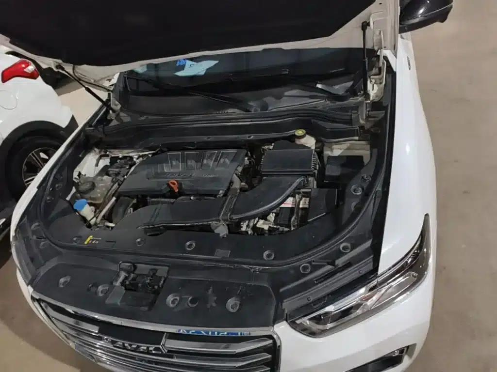 Haval H6 2020 1.5GDIT Automatic Platinum Champion Edition — миниатюра 20