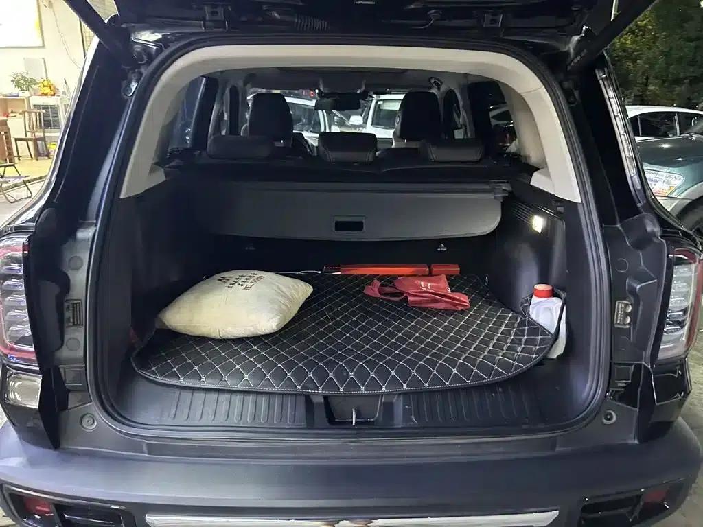 Haval Big Dog 2022 2.0T DCT 4WD Howling Dog Hunting Edition — миниатюра 8