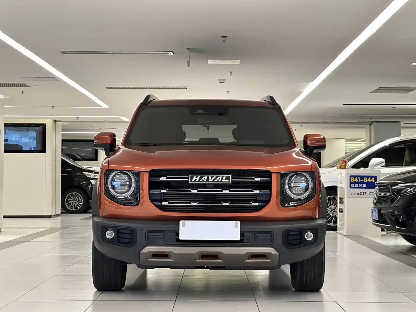Haval Big Dog 2021 1.5T DCT 2WD Border Collie - Lucky Edition — миниатюра 2