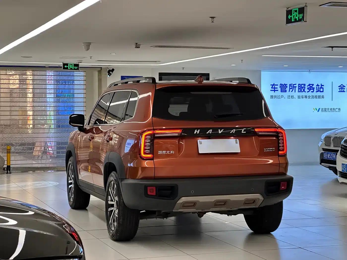 Haval Big Dog 2021 1.5T DCT 2WD Border Collie - Lucky Edition — миниатюра 7