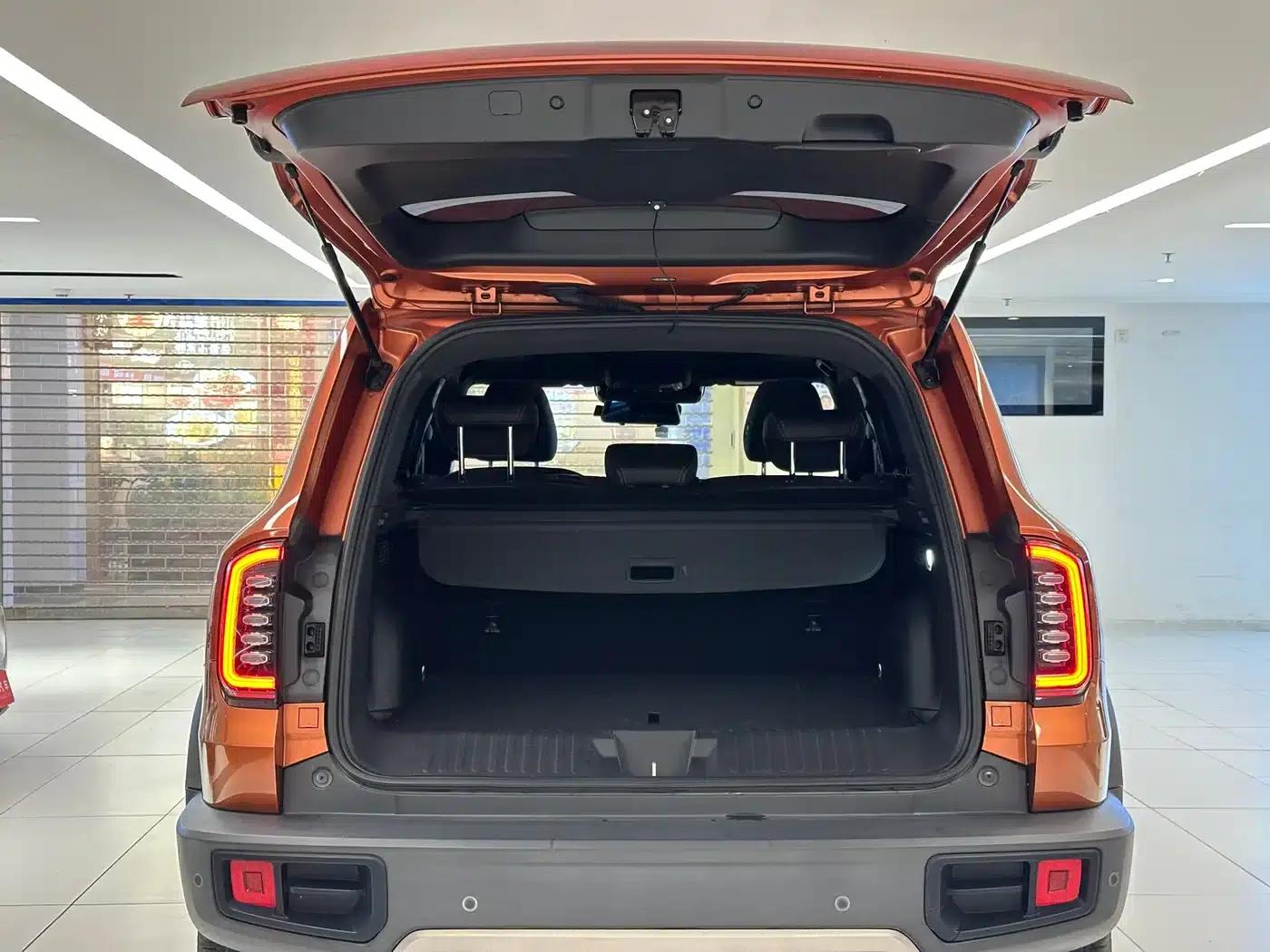 Haval Big Dog 2021 1.5T DCT 2WD Border Collie - Lucky Edition — миниатюра 8