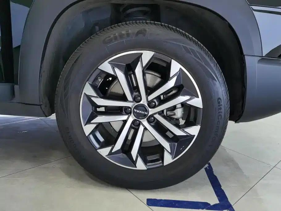 Haval Big Dog 2024 1.5T DCT Border Collie Edition — миниатюра 6