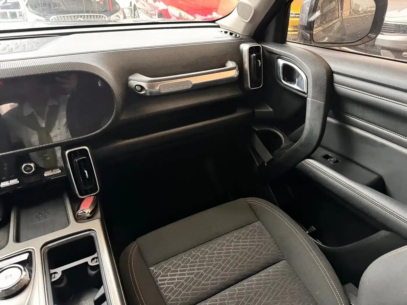 Haval Big Dog 2021 1.5T DCT 2WD Husky Edition — миниатюра 11