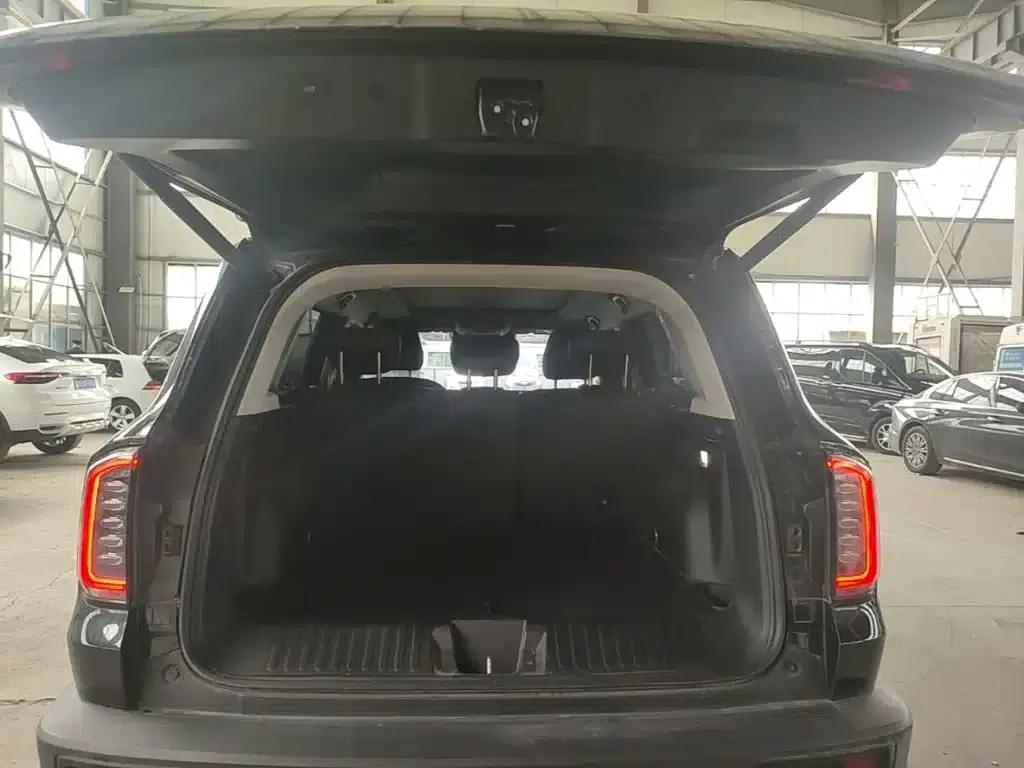 Haval Big Dog 2024 1.5T DCT Border Collie Edition — миниатюра 19