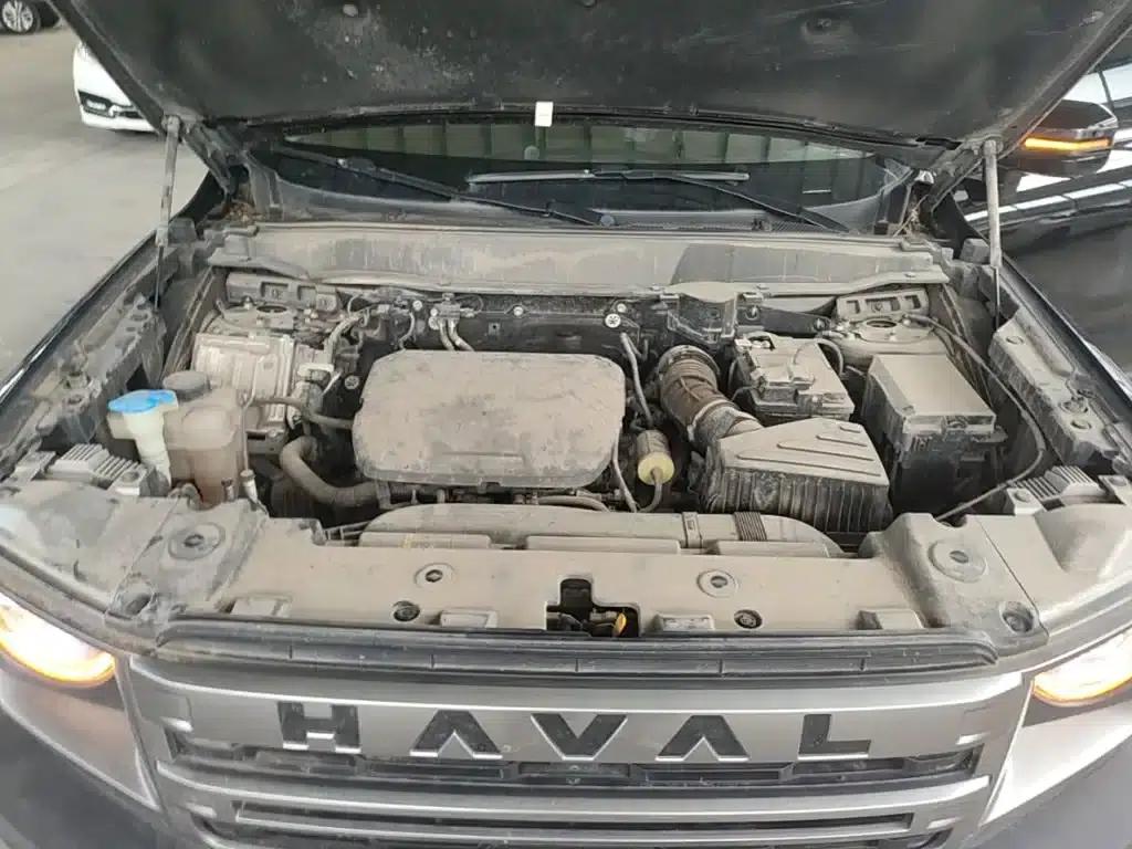 Haval Big Dog 2024 1.5T DCT Border Collie Edition — миниатюра 20