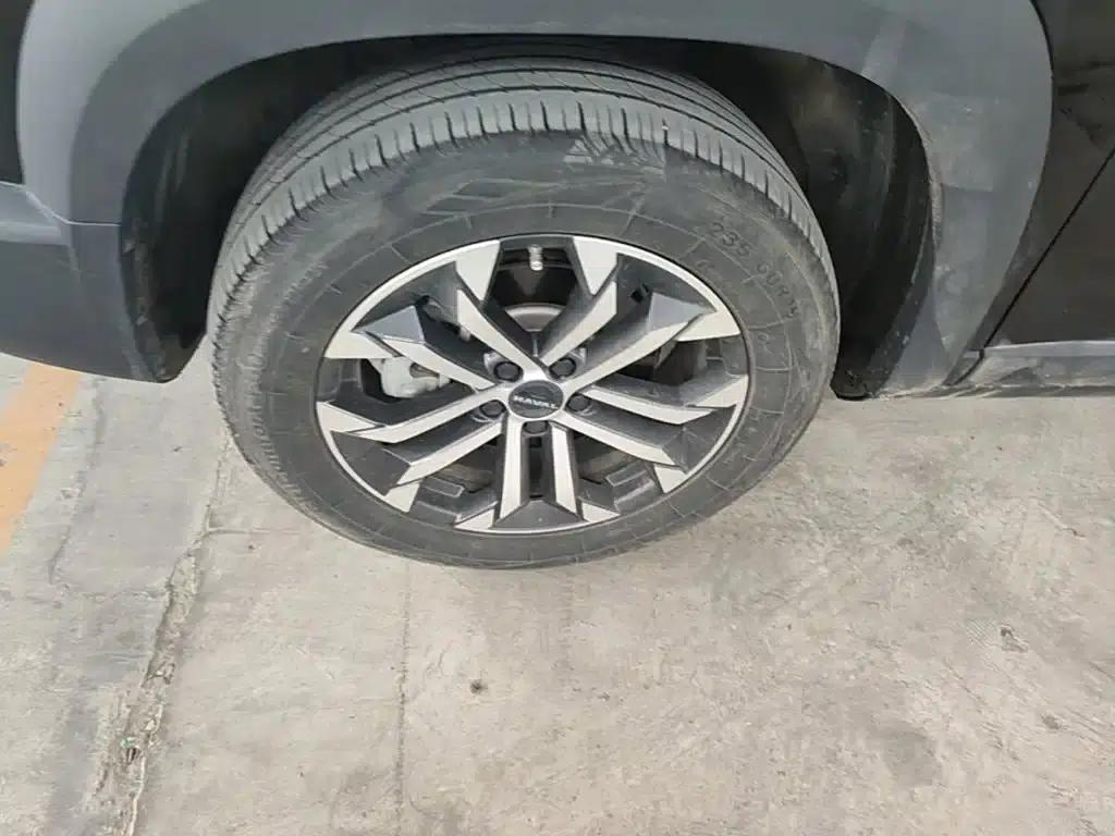 Haval Big Dog 2024 1.5T DCT Border Collie Edition — миниатюра 23