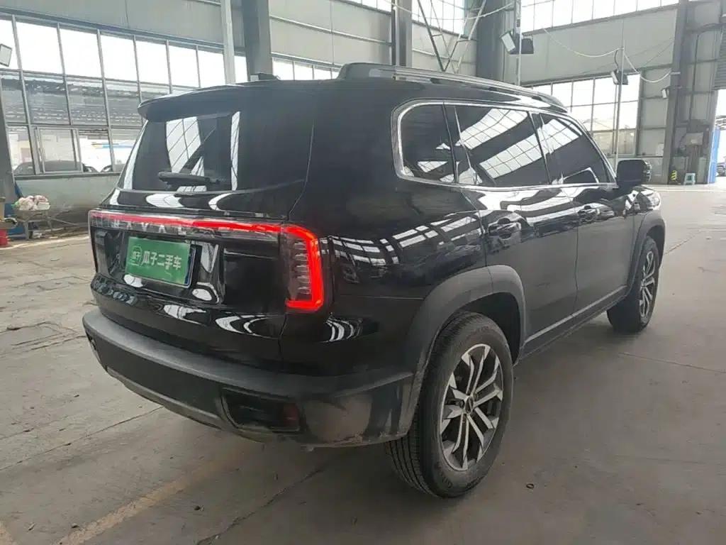 Haval Big Dog 2024 1.5T DCT Border Collie Edition — миниатюра 7