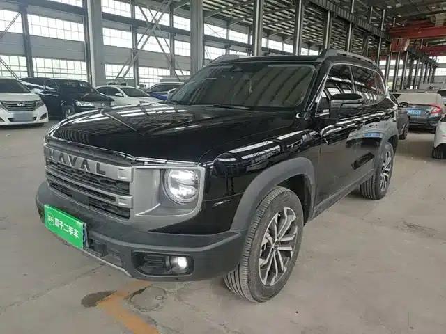 Haval Big Dog 2024 1.5T DCT Border Collie Edition