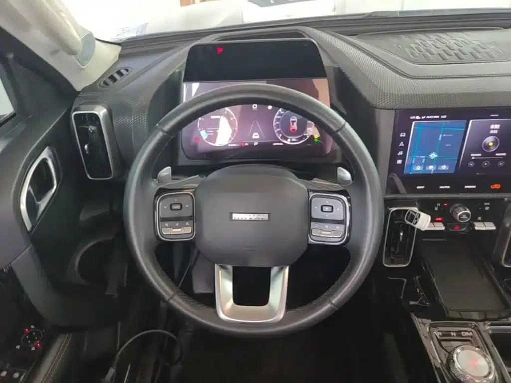 Haval Big Dog 2021 1.5T DCT 2WD Border Collie - Lucky Edition — миниатюра 11