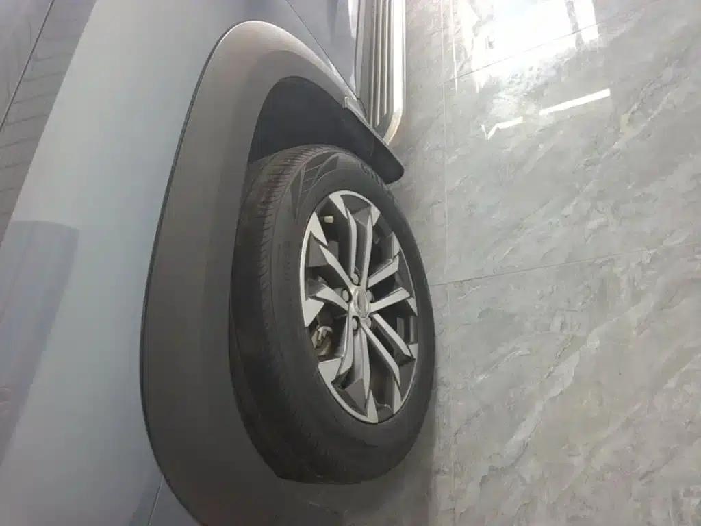 Haval Big Dog 2021 1.5T DCT 2WD Border Collie - Lucky Edition — миниатюра 23