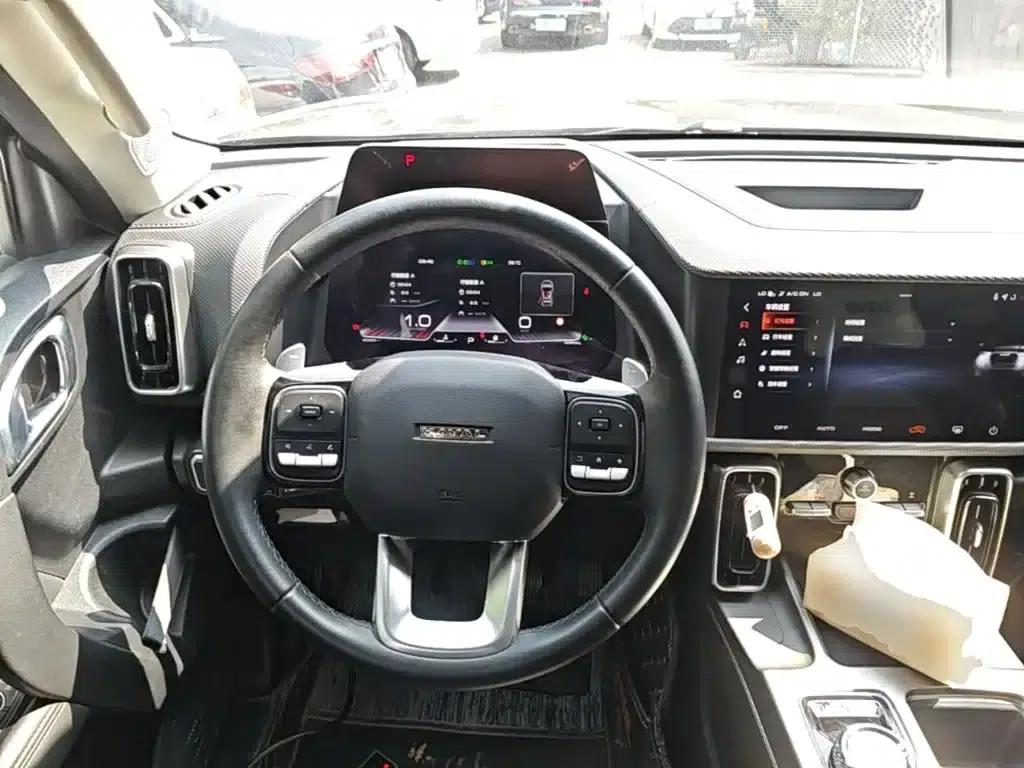 Haval Big Dog 2024 2.0T DCT Chinese Rural Dog Edition — миниатюра 11