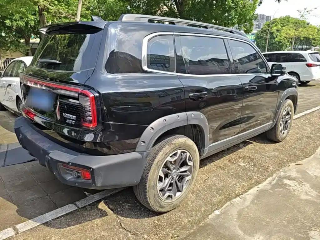 Haval Big Dog 2024 2.0T DCT Chinese Rural Dog Edition — миниатюра 7