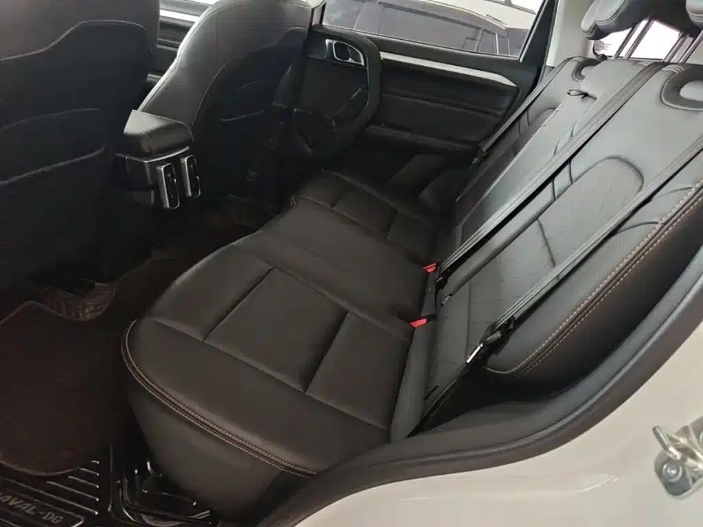 Haval Big Dog 2021 1.5T DCT 2WD Border Collie - Lucky Edition — миниатюра 17