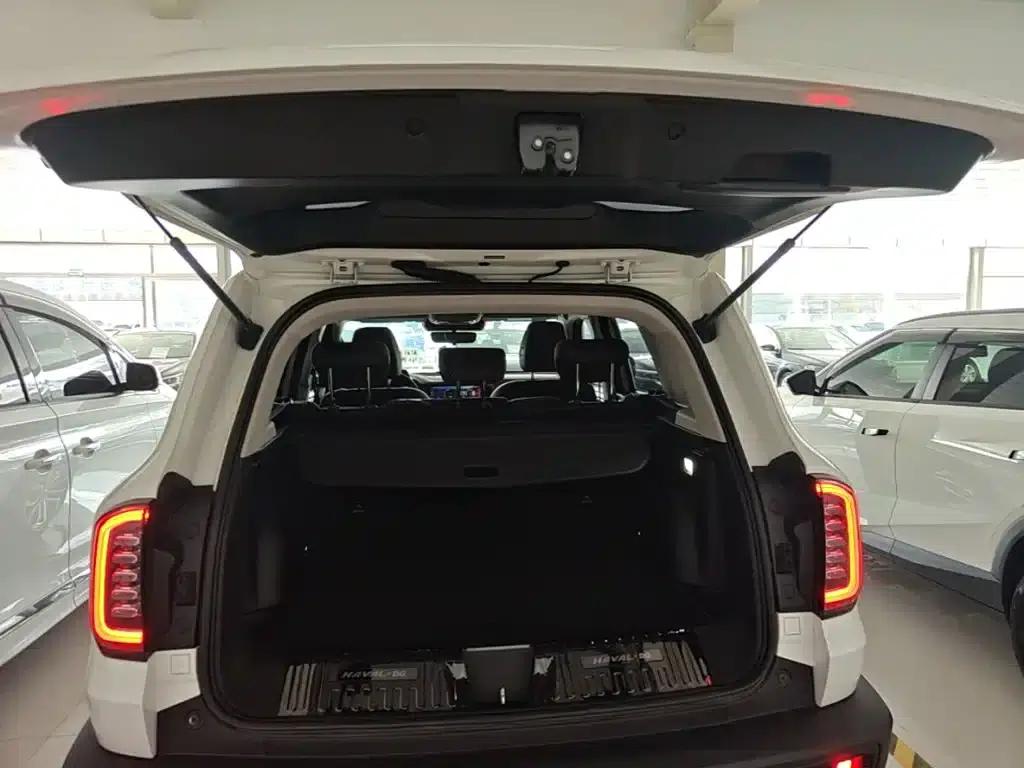 Haval Big Dog 2021 1.5T DCT 2WD Border Collie - Lucky Edition — миниатюра 19