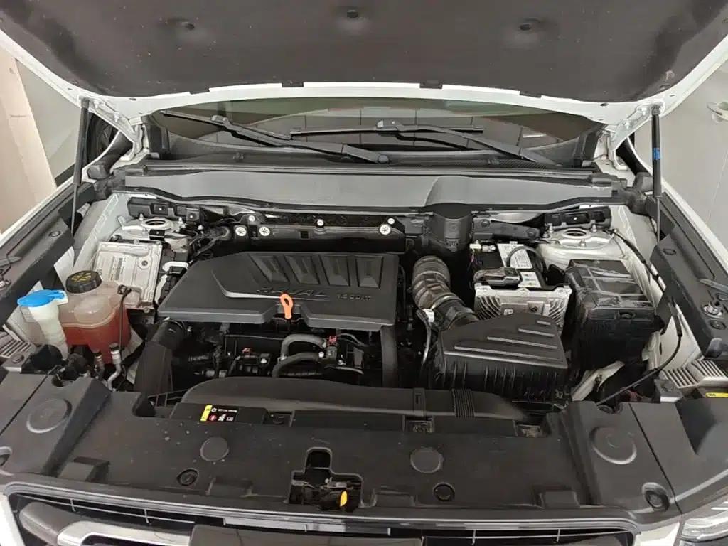Haval Big Dog 2021 1.5T DCT 2WD Border Collie - Lucky Edition — миниатюра 20