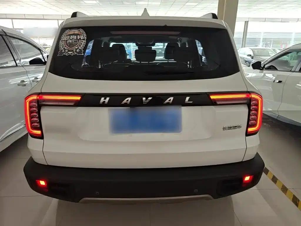 Haval Big Dog 2021 1.5T DCT 2WD Border Collie - Lucky Edition — миниатюра 6