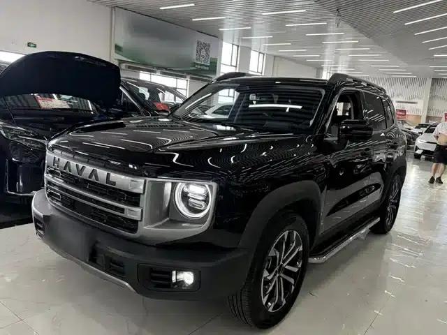 Haval Big Dog 2024 1.5T DCT Border Collie Edition