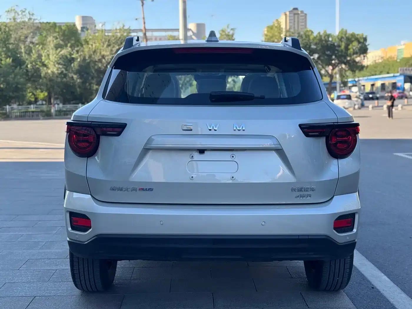 Haval Big Dog PLUS 2023 2.0T 4WD Trendy Wild Plus — миниатюра 11