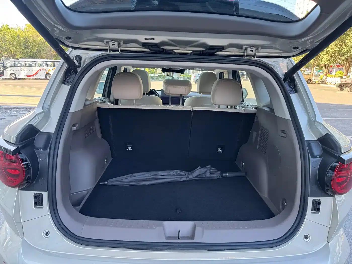 Haval Big Dog PLUS 2023 2.0T 4WD Trendy Wild Plus — миниатюра 14
