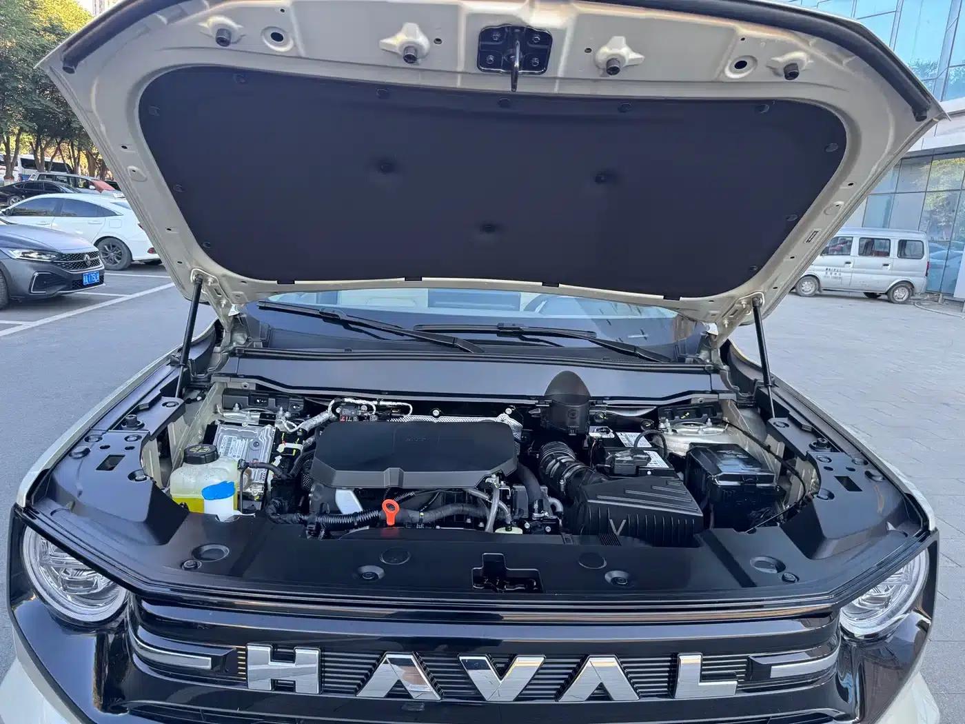 Haval Big Dog PLUS 2023 2.0T 4WD Trendy Wild Plus — миниатюра 16