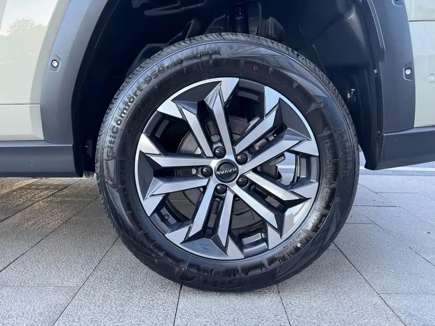 Haval Big Dog PLUS 2023 2.0T 4WD Trendy Wild Plus — миниатюра 10