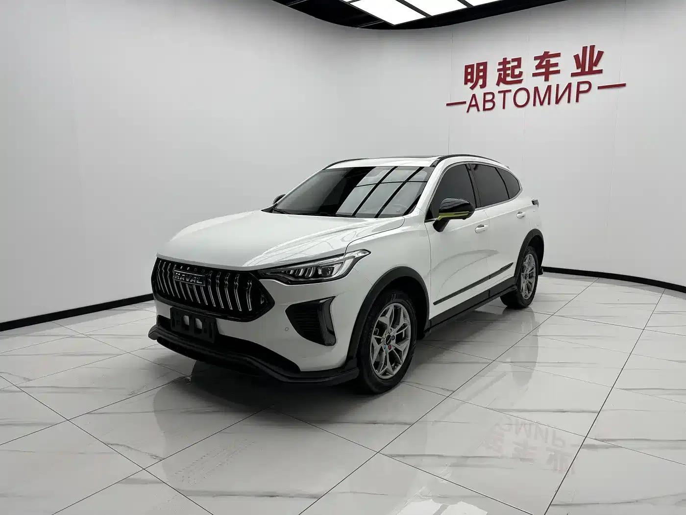 Haval Chitu 2022 Enjoy Edition 1.5T Bronze Rabbit — миниатюра 4