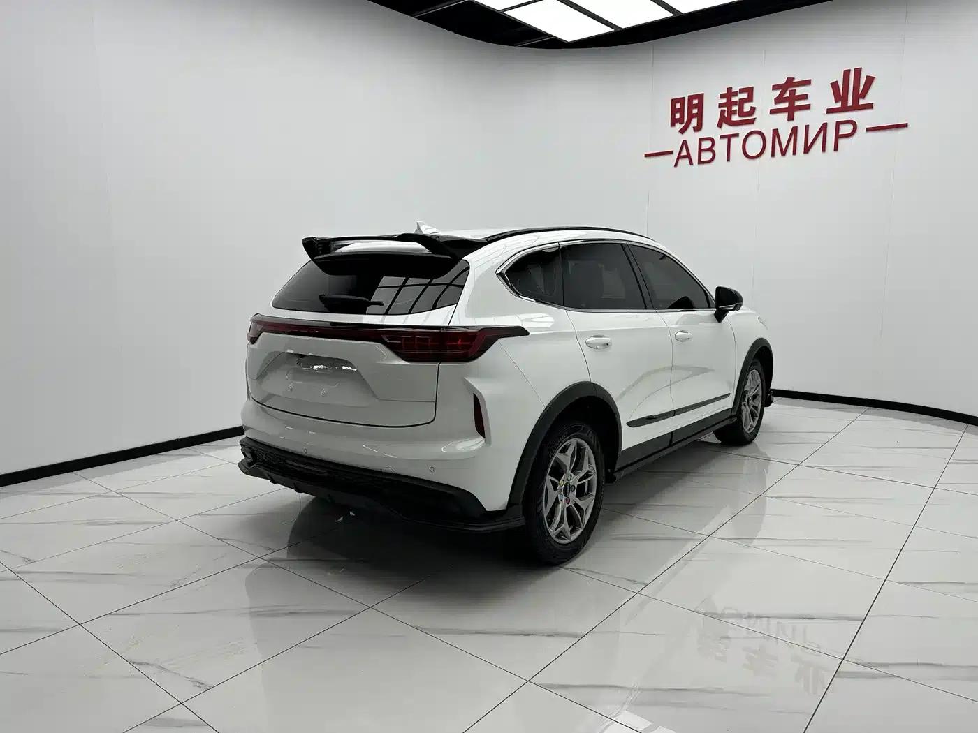Haval Chitu 2022 Enjoy Edition 1.5T Bronze Rabbit — миниатюра 8