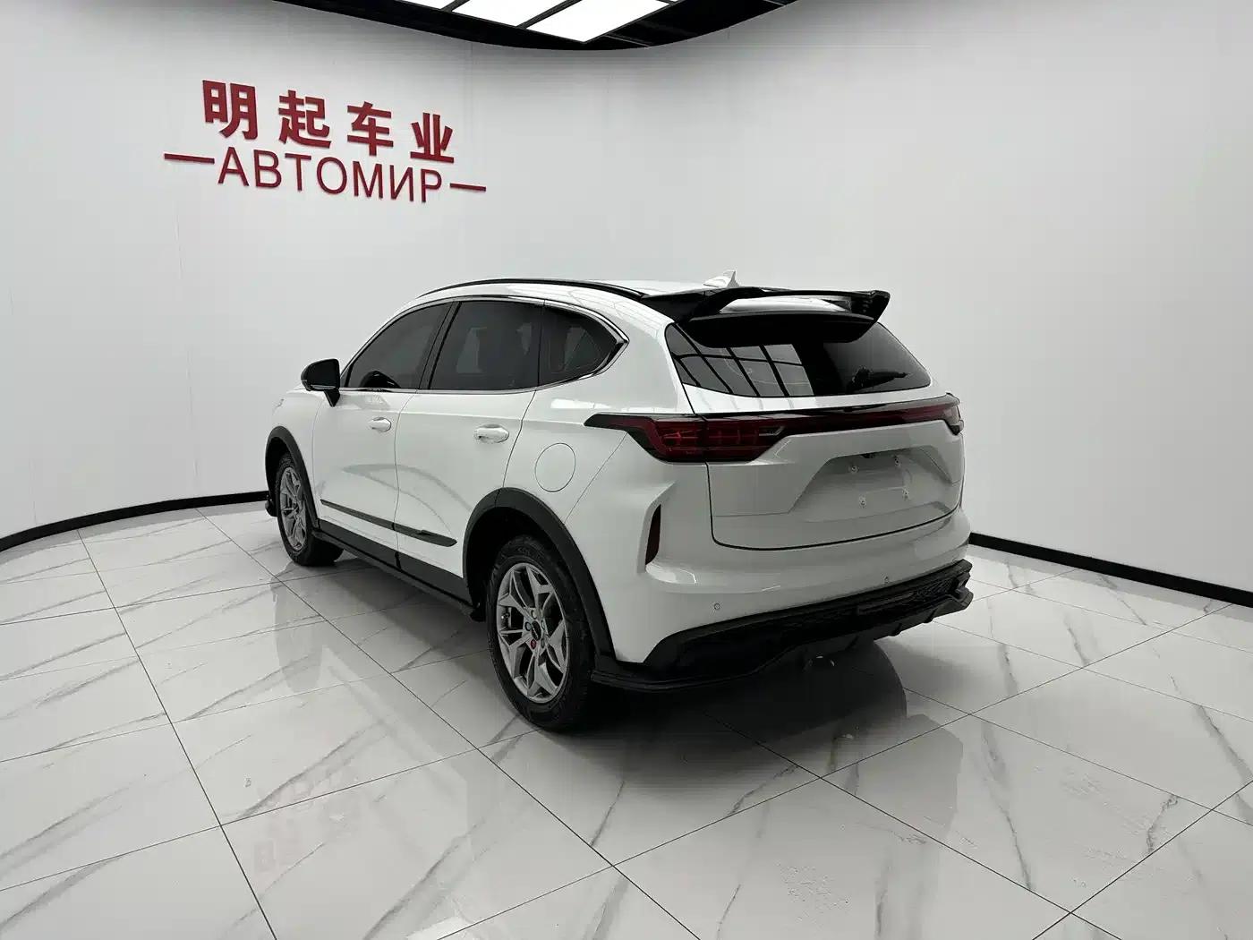 Haval Chitu 2022 Enjoy Edition 1.5T Bronze Rabbit — миниатюра 9