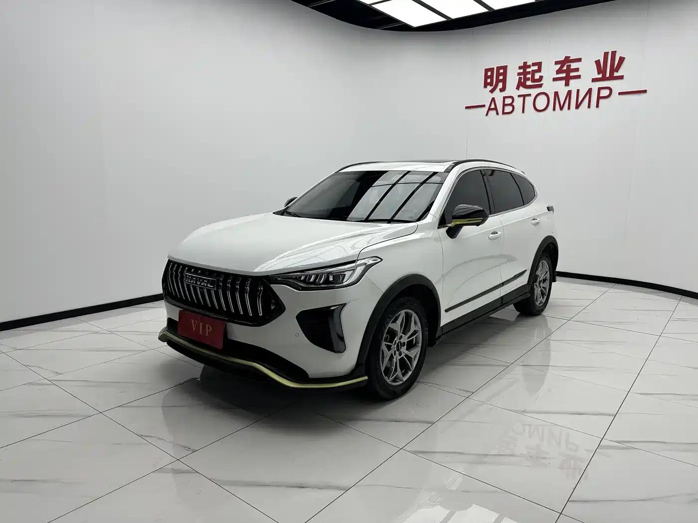 Haval Chitu 2022 Enjoy Edition 1.5T Bronze Rabbit — миниатюра 4