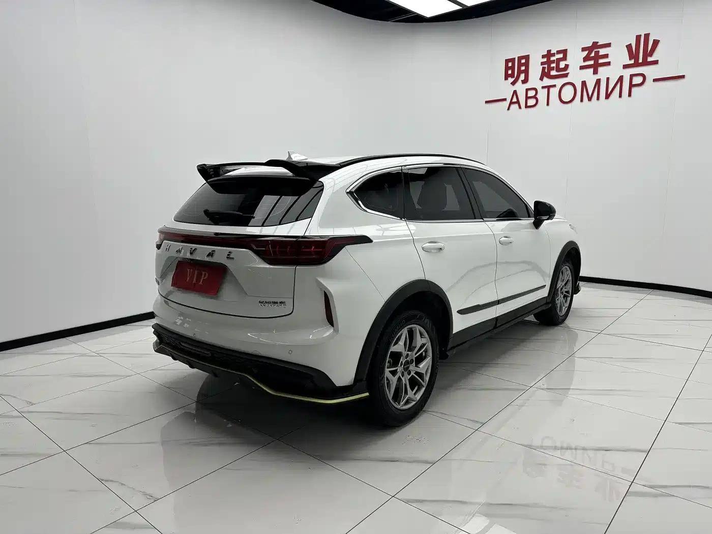 Haval Chitu 2022 Enjoy Edition 1.5T Bronze Rabbit — миниатюра 9