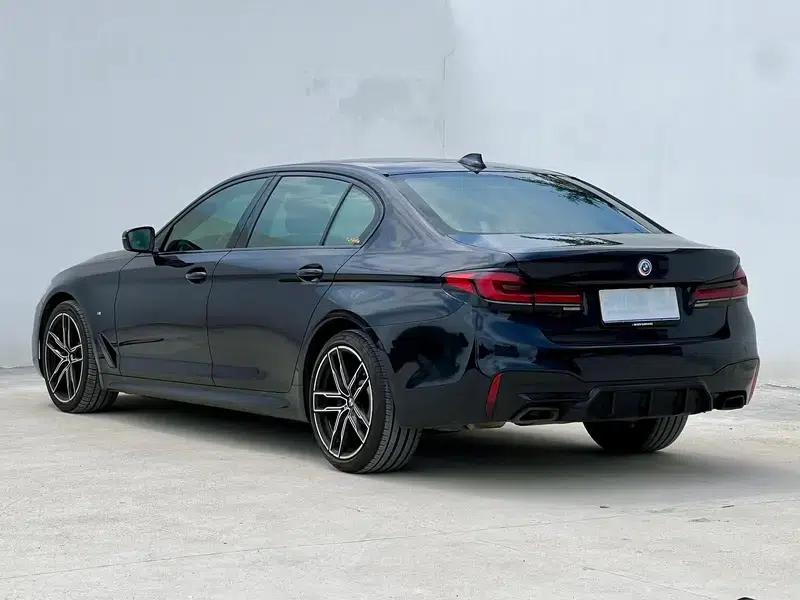 2020 BMW 5 Series 530Li Luxury M Sport Package — миниатюра 4