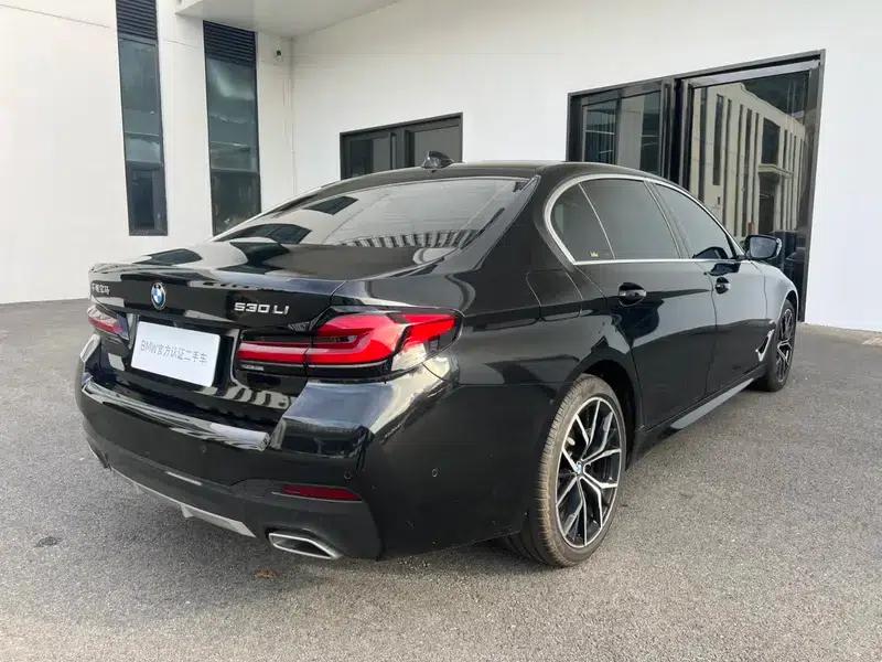 2021 BMW 5 Series Facelift 530Li Luxury M Sport Package — миниатюра 6