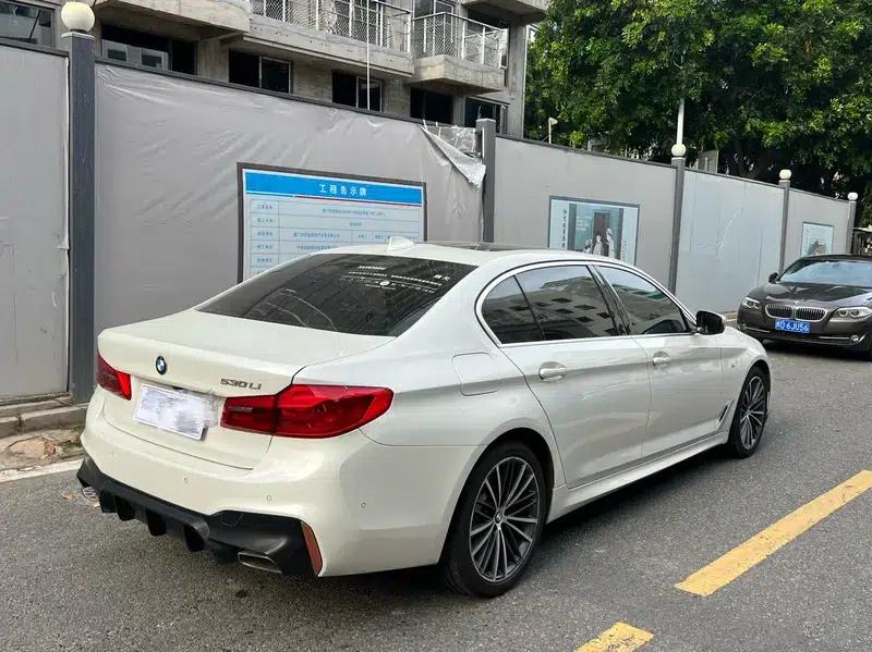 2020 BMW 5 Series 530Li Leading Edition M Sport Package — миниатюра 5