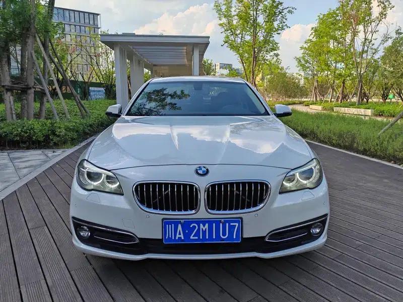 2014 BMW 5 Series 525Li Luxury Design Package — миниатюра 2