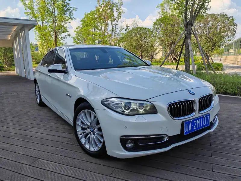 2014 BMW 5 Series 525Li Luxury Design Package — миниатюра 3