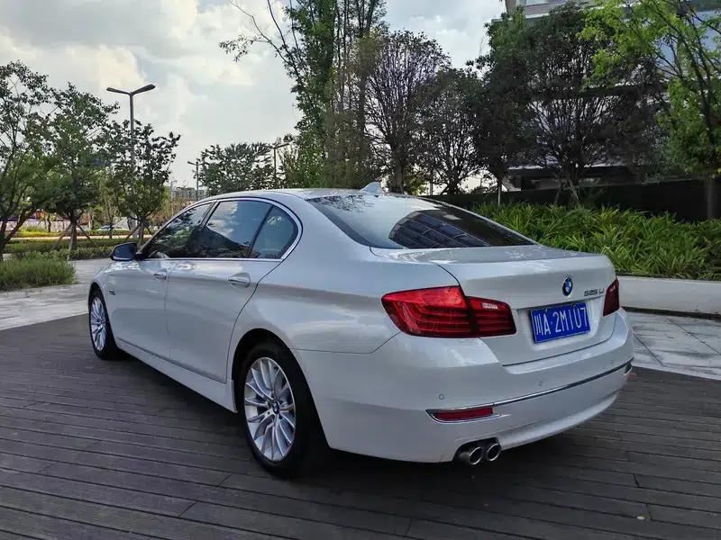 2014 BMW 5 Series 525Li Luxury Design Package — миниатюра 4